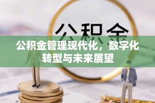 威远公积金管理现代化，数字化转型与未来展望