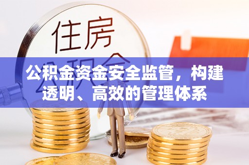 威远公积金资金安全监管，构建透明、高效的管理体系