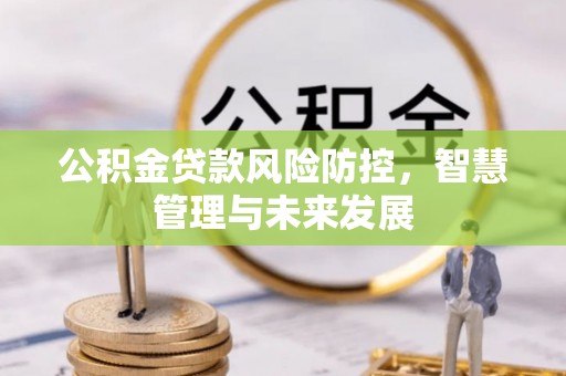 威远公积金贷款风险防控，智慧管理与未来发展