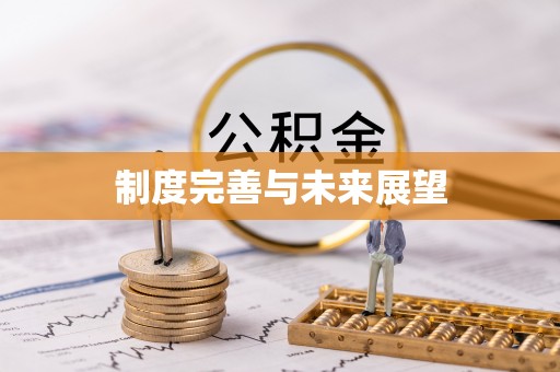 威远制度完善与未来展望