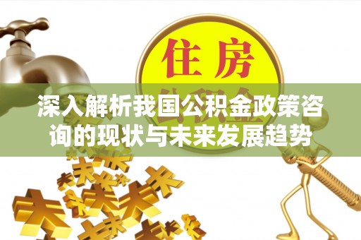 威远深入解析我国公积金政策咨询的现状与未来发展趋势