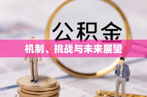 威远机制、挑战与未来展望